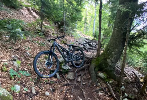 set up mountain bike suspension
